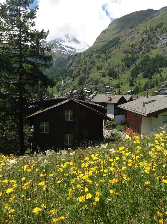 Apartment Oberhausern Zermatt Exterior foto